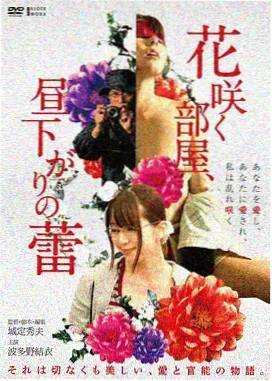 熊出没之狂野大陆